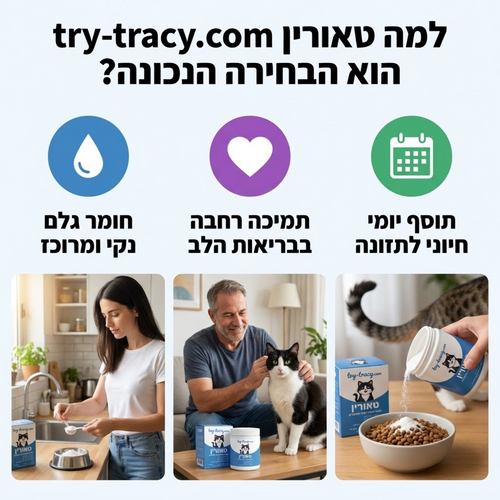 תוסף טאורין חיוני לבריאות חתולים