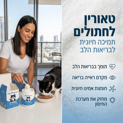 תוסף טאורין חיוני לבריאות חתולים