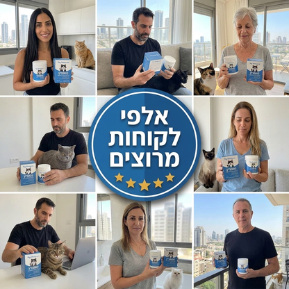 תוסף טאורין חיוני לבריאות חתולים